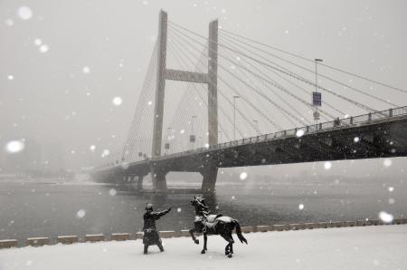       這是12月3日拍攝的吉林省吉林市臨江門大橋雪中景觀。